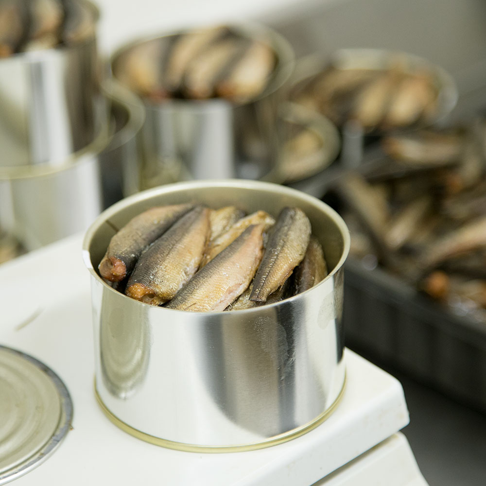 Kirkkaiden vesien kalasäilykkeet Kissakoskelta - Järvi-Suomen Kalatuote